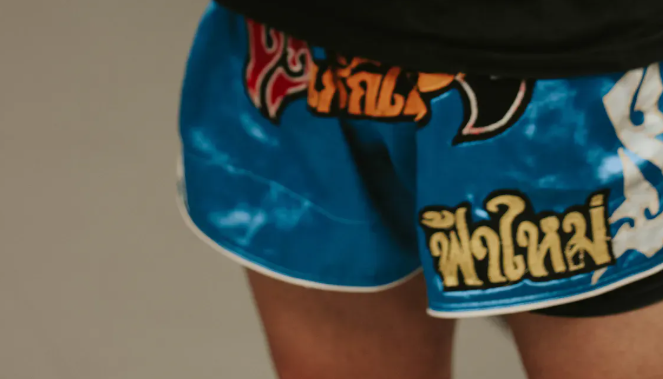 Alt du trenger &aring; vite om Print Logo Shorts fra Pinyang Clothing